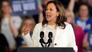 Democrats questioned over decision to elect Harris as presidential nominee [upl. by Milo]