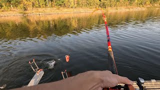 DONT Miss Out On This FALL BITE LOTS OF FISH [upl. by Lovash901]