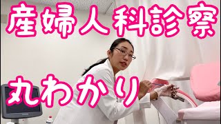 【医者目線】産婦人科診察ってこんな感じ！リアルにお届け [upl. by Atthia]