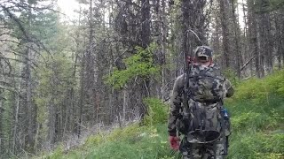 Quick thinking saves man from grizzly attack in Wyoming hunting encounter [upl. by Duahsar18]