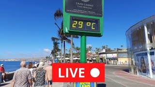 🔴LIVE MASPALOMAS Gran Canaria November 1 2023 Wetter Weather [upl. by Peednama432]