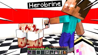 HEROBRINE HA CORROTTO GLI ANIMALI Failcraft ZERO [upl. by Jobie]