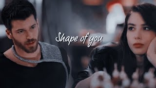 Ezgi e Ozgur  Shape Of You [upl. by Mistrot605]