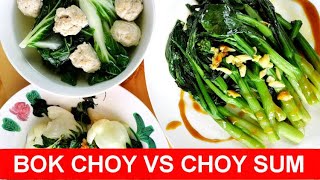 Bok choy vs choy sum what are the differences and the best way to cook [upl. by Akined]