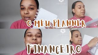 PLANNER FINANCEIRO PARA JUNTAR DINHEIRO [upl. by Virge]