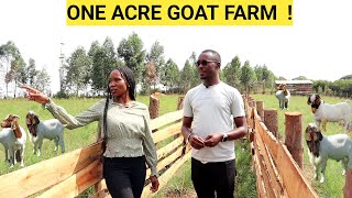 How He Makes PROFITS On An ACRE Of LAND  Goat Demo FARM [upl. by Koblick]