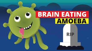 Brain Eating Amoeba Naegleria fowleri [upl. by Ploch]