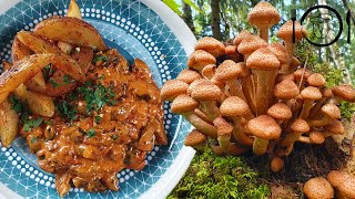 Nejlepší recept z Václavek Stroganov z Václavek Houbové recepty [upl. by Gambrill205]