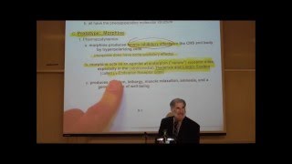 PHARMACOLOGY NARCOTIC ANALGESICS by Professor Fink [upl. by Ivad447]