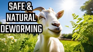 Goat Care 101 Natural Safe Dewormer Medication Revealed Your Goats Will Love to Eat Them [upl. by Dewhurst]