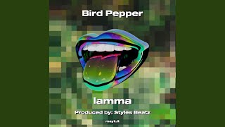 Bird Pepper [upl. by Ecnaret]