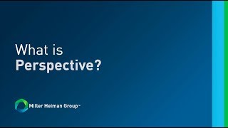 Strategic Selling® with Perspective  What is Perspective [upl. by Ambert]