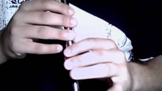 The Rights of Man  tin whistle tutorial [upl. by Elane]