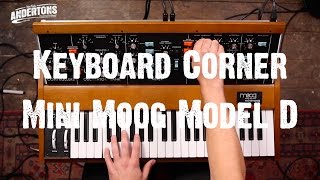 Keyboard Corner  Mini Moog Model D [upl. by Vaenfila]