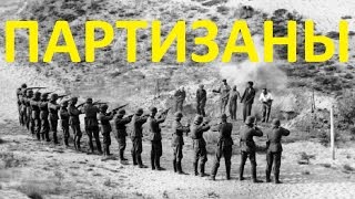 Партизаны в степях Украины 1943 в хорошем качестве [upl. by Adnot]