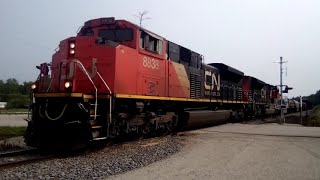 Hazy Day From Canada CN 8838CN 8946 RollingSpeeding Peshtigo Wisconsin 72423 [upl. by Fassold]