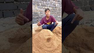 CHOTU KA SAND HOUSE shorts FACTFIREKING [upl. by Garwin]