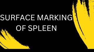 Surface marking of spleen [upl. by Terrence]