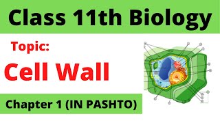 Lecture 10  FSC biology in pashto  Home of biology [upl. by Ferino]