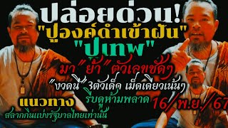 ด่วนปล่อยแล้ว3ตัวเด็ด16พย67ปู่เทพปู่องค์ดำเข้าฝันบอก3ตัวตรงๆเม็ดเดียวหวยรัฐบาลไทยงวดนี้ [upl. by Verdha]