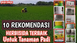 10 REKOMENDASI HERBISIDA TERBAIK UNTUK TANAMAN PADI [upl. by Swift]