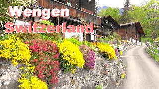 SWITZERLAND  WENGEN  LAUTERBRUNNEN  GRINDELWALD  Constance  Suiza  Alemania [upl. by Yrovi159]