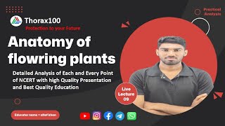 Anatomy of flowering plants Lecture 09 for Class 11 amp NEET Thorax100 [upl. by Ankeny]