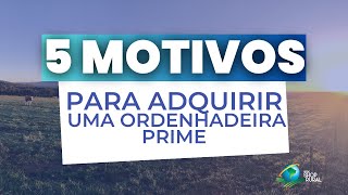 Ordenhadeira 5 motivos para comprar uma Ordenhadeira Prime [upl. by Entirb]