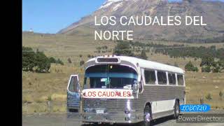 LOS CAUDALES DEL NORTE 11 A QUE NO LE PONES [upl. by Harrad]