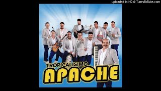 tropicalisimo apache mix 2020 [upl. by Anayra]