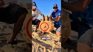 Removing crusty barnacles from a seaturtle is extremely satisfying 😱 shorts barnacles [upl. by Ylrebmyk]