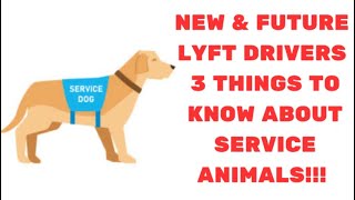 🦮 NEW amp FUTURE LYFT DRIVERS 3 THINGS TO KNOW ABOUT SERVICE ANIMALS [upl. by Luhem]