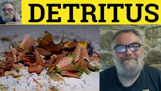 🔵 Detritus Meaning  Detritus Examples  Detritus  Vocabulary  Detritus [upl. by Marjory]