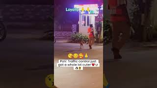 World best loyal animals ❤️🤩funny rahulpets funnypets doglover shortsfeed [upl. by Baseler]