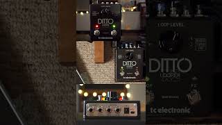 TC Electronic Ditto X2 Stereo Looper pedaloftheday tcelectronic looper looperpedal ditto [upl. by Natsirhc646]