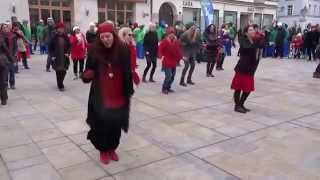 One Billion Rising Regensburg 2015 [upl. by Ymas]