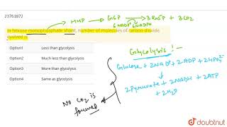 In hexose monophosphate shunt number of molecules of carbon dioxide evolved is [upl. by Adnolat]