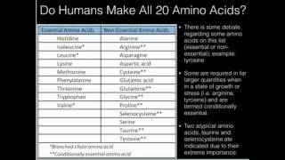 Overview of Amino Acid Biosynthesis [upl. by Goddard]