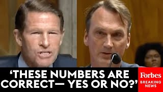 You Dont Dispute That Its Correct Blumenthal Slams Bank Exec Over Lacking Fraud Reimbursements [upl. by Agata]