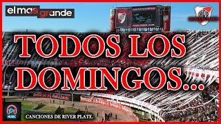 TODOS LOS DOMINGOS  CANCIONES RIVER LETRA  CANCIONES DE RIVER PLATE [upl. by Hayden]