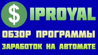 IPRoyal Pawns программа для заработка без вложений обзор и отзывы [upl. by Eimrej]