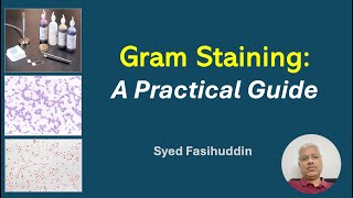 Gram Staining A Practical Guide [upl. by Dyal257]