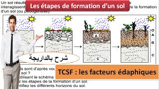 les étapes de formation dun sol TCSF شرح بالداريجة [upl. by Ytok]