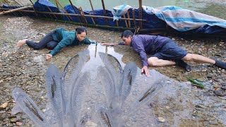 Blocking The Stream With Bamboo And Tarpaulin The Couple Harvested Huge Fish To Sell Lý Thị Hầm [upl. by Yonatan]