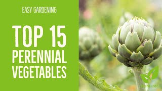 Top 15 hardy perennial vegetables that everyone should grow [upl. by Maretz]