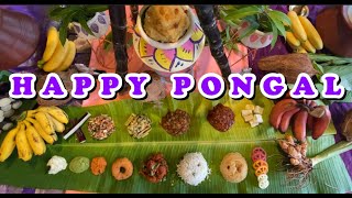 Thai Pongal Food Promotion Festival [upl. by Allehc]