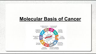 Molecular Basis of Cancer Part 1 Oncogenes [upl. by Ahsinod]