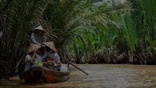 Is the Okavango Delta the Ultimate Safari Destination [upl. by Buxton]