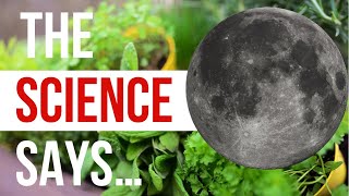 Does Moon Phase Planting REALLY Effect Plants Old Wives Tale OR Based In Science  Garden Science [upl. by Rehtaef]