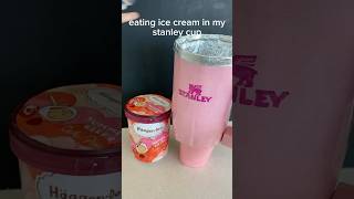 eating ice cream in my stanley cup fypシ゚viral fyp blowup stanley haagendazs icecream preppy [upl. by Dorita157]